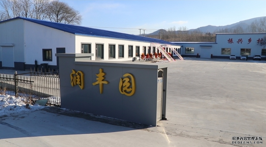 乡村全面振兴看吉林