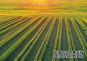 “行进中国”调研行