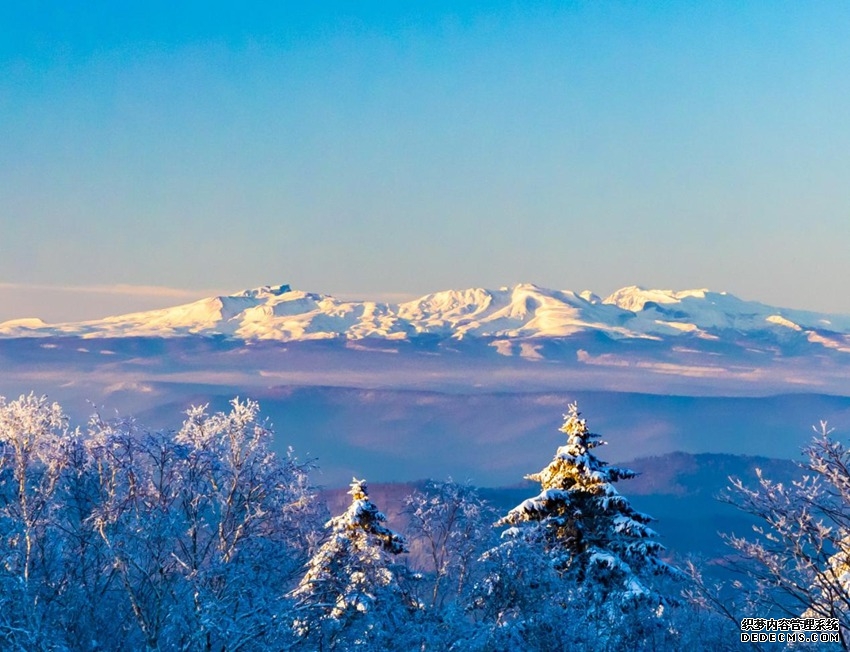 安图:冰雪热土之上,书写文旅新篇