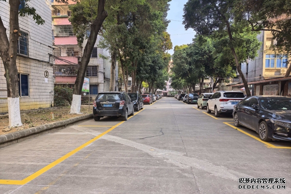 车辆整齐有序地停放在停车位内。