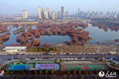 江西南昌：湿地映霞光 运动悦生活