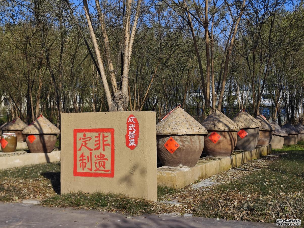 成武酱菜酱缸。 李保珠 摄