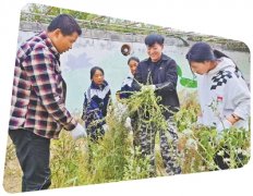  唱响雪域高原的青春之歌
