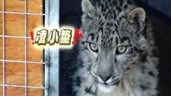 2025行进中国调研行 青海首页