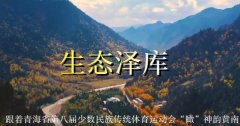 青海省第八届少数民族传统体育运动会