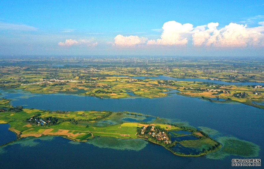 湿地美景