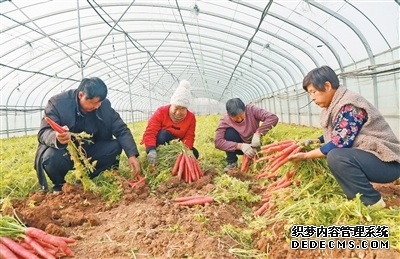 筑牢人才支撑 建设农业强省