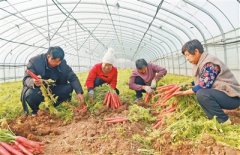  筑牢人才支撑 建设农业强省