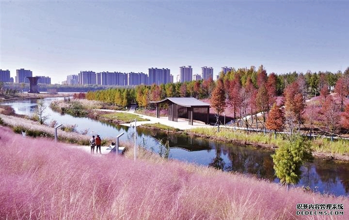 淇水樱华园冬景