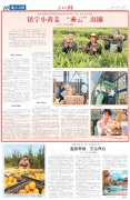 镇宁小黄姜 “乘云”出圈
