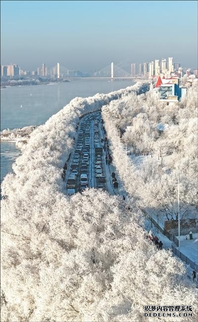 人民日报关注吉林：琼枝玉树 雾凇如画
