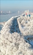 人民日报关注吉林：琼枝玉树 雾凇如画