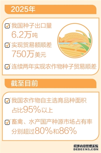 “中国粮”主要用上了“中国种”
