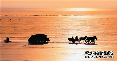 一条鱼,“游”出大产业