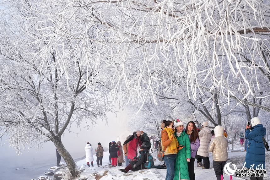 2月2日,有着中国“雾凇之都”美誉的吉林市迎来多场星级雾凇景观。松花江上雾气袅袅,沿江两岸戴玉披银,朵朵琼花在枝头竞相绽放,数十里云雾长龙卷起排排雪浪随松花江水流过吉林市区,松江两岸如坠仙境。人民网记者 李洋摄