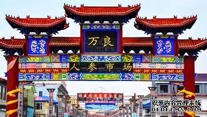 行进中国｜这里，“参”机无限  抚松县，地处长白山核心腹地，森林覆盖率达到87.6%，优越的地理位置和生态环境，孕育了抚松县高品质人参。