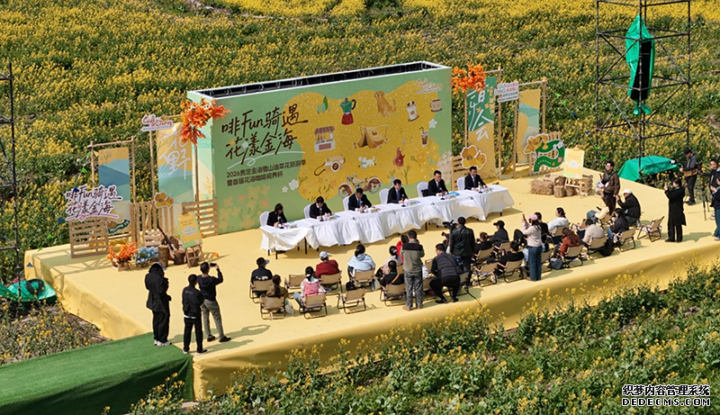 新闻发布会现场。主办方供图