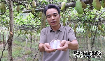木厦河村：八月瓜“炸”开电商销路由于八月瓜是后熟性水果，不会一次性成熟，25亩果子需要连续采摘半个月才能收完。这款小众水果凭借优质口感和丰富营养，在线上市场供不应求……