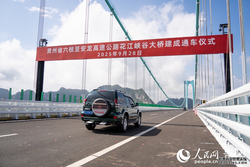 大桥正式通车后,车辆通过大桥。人民网记者 涂敏摄