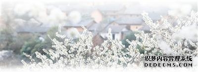 李花不负“守屯人”