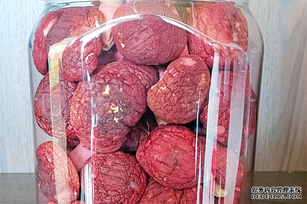 红椎菌。广西林业局供图