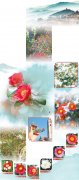  耐冬灼灼映山海（一朵花读懂一座城）
