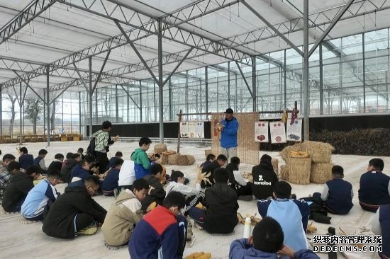 课堂无围墙!威海环翠区研学让文化在田间指尖“活”起来