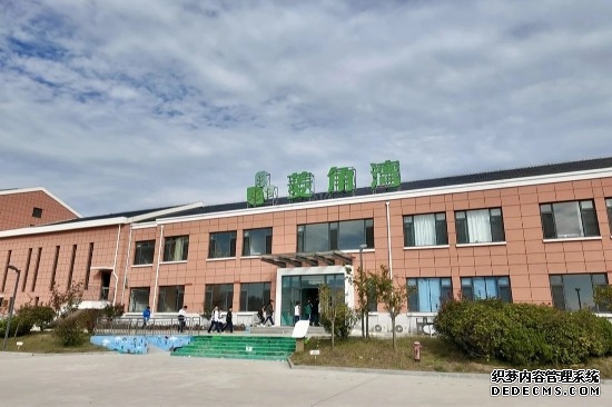 课堂无围墙!威海环翠区研学让文化在田间指尖“活”起来