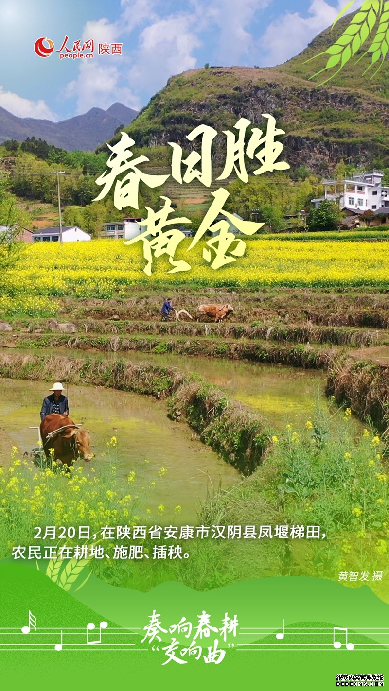 宝藏陕西丨奏响春耕“交响曲”