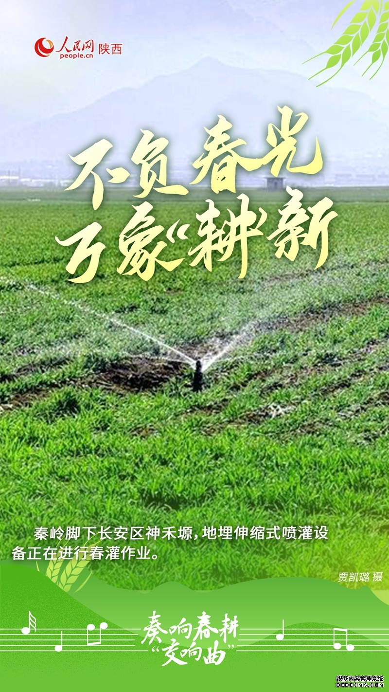 宝藏陕西丨奏响春耕“交响曲”